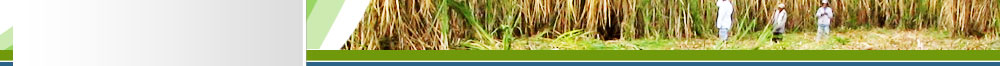 Sugar4.Net